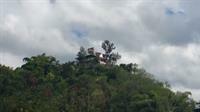 Tranquility Estate Bed And Breakfast Kingston Luaran gambar