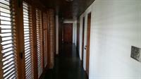 Tranquility Estate Bed And Breakfast Kingston Luaran gambar